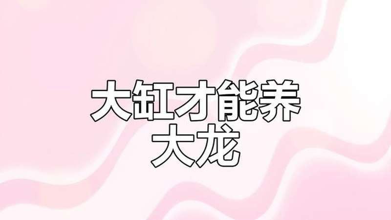 蘇州龍魚好養嗎知乎視頻大全