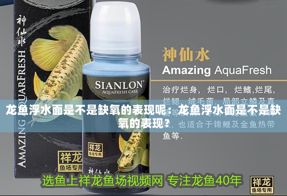 龍魚浮水面是不是缺氧的表現(xiàn)呢：龍魚浮水面是不是缺氧的表現(xiàn)？