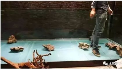 龍魚缸一般要多高多寬才好呢，龍魚缸的尺寸選擇是涉及多種因素的決策，龍魚缸布置風(fēng)水講究