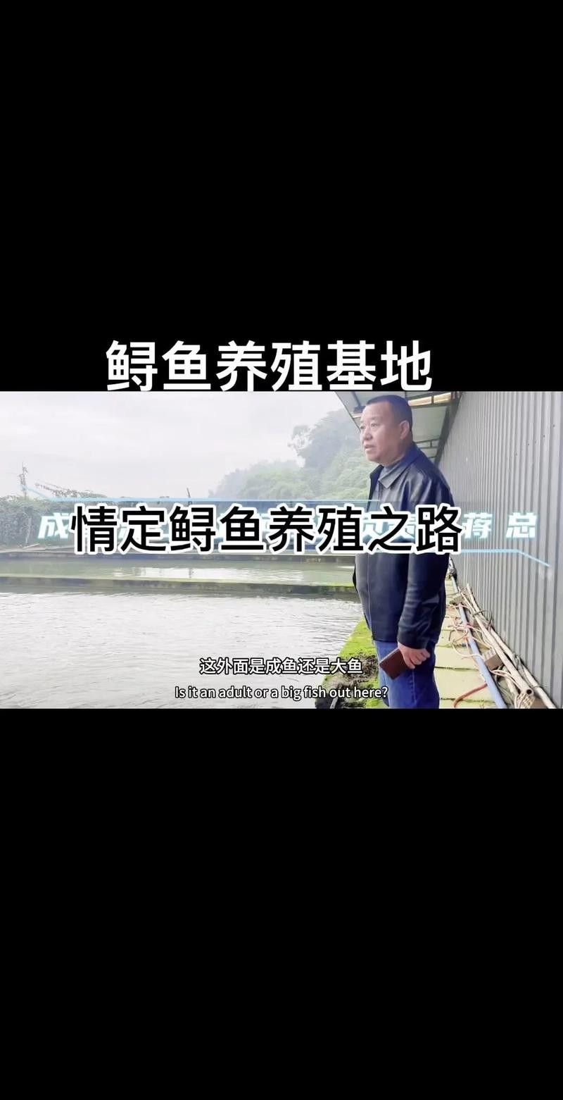 鱘龍魚寵物