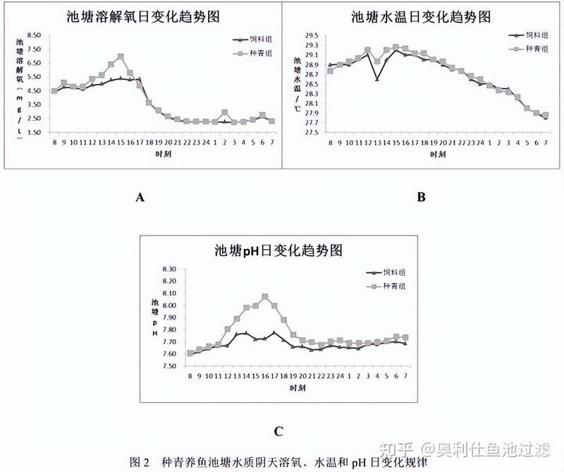 古典藍(lán)底金龍魚需要什么樣的過濾系統(tǒng)？