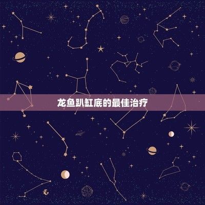 龍魚沉底怎么治療用什么藥：龍魚沉底怎么治療