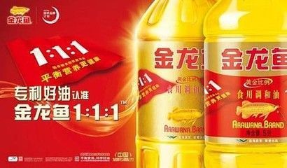 金龍魚吃多少：金龍魚一天喂多少次食金龍魚一天喂多少次食物