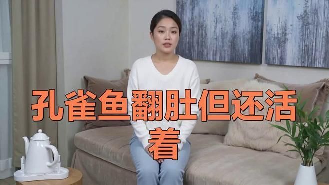 孔雀魚側翻快死能救活嗎