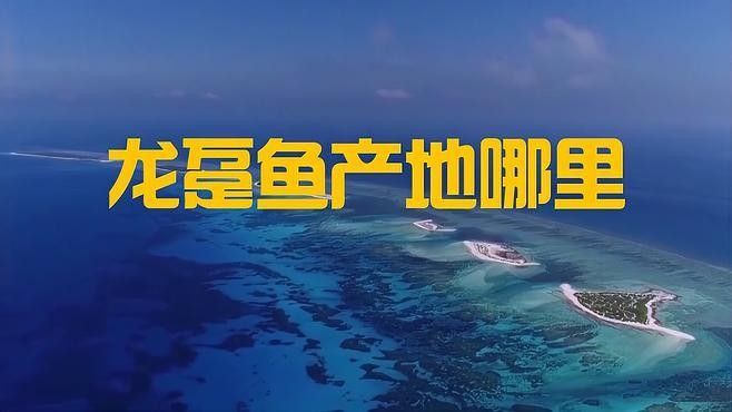 龍躉在大西洋的分布區域