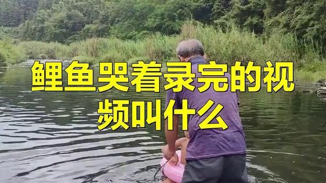 鯉魚突然大哭視頻
