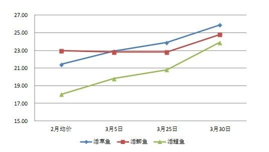 龍魚價格受哪些政策影響？