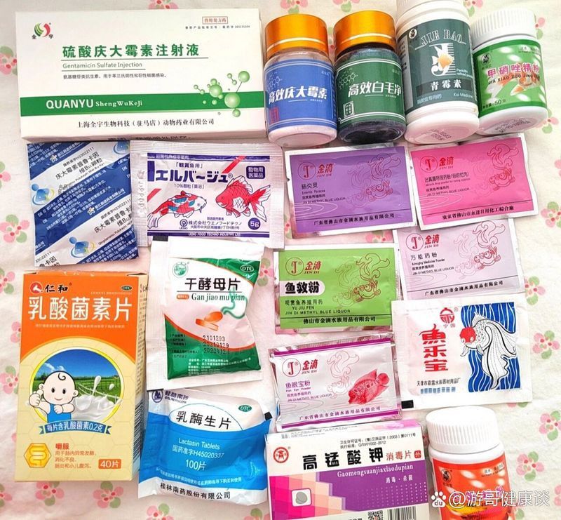 哪些消毒液適合用于六角恐龍尸體消毒？