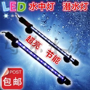 龍魚燈放水里還是外面：龍魚燈放置位置對風水有重要的影響