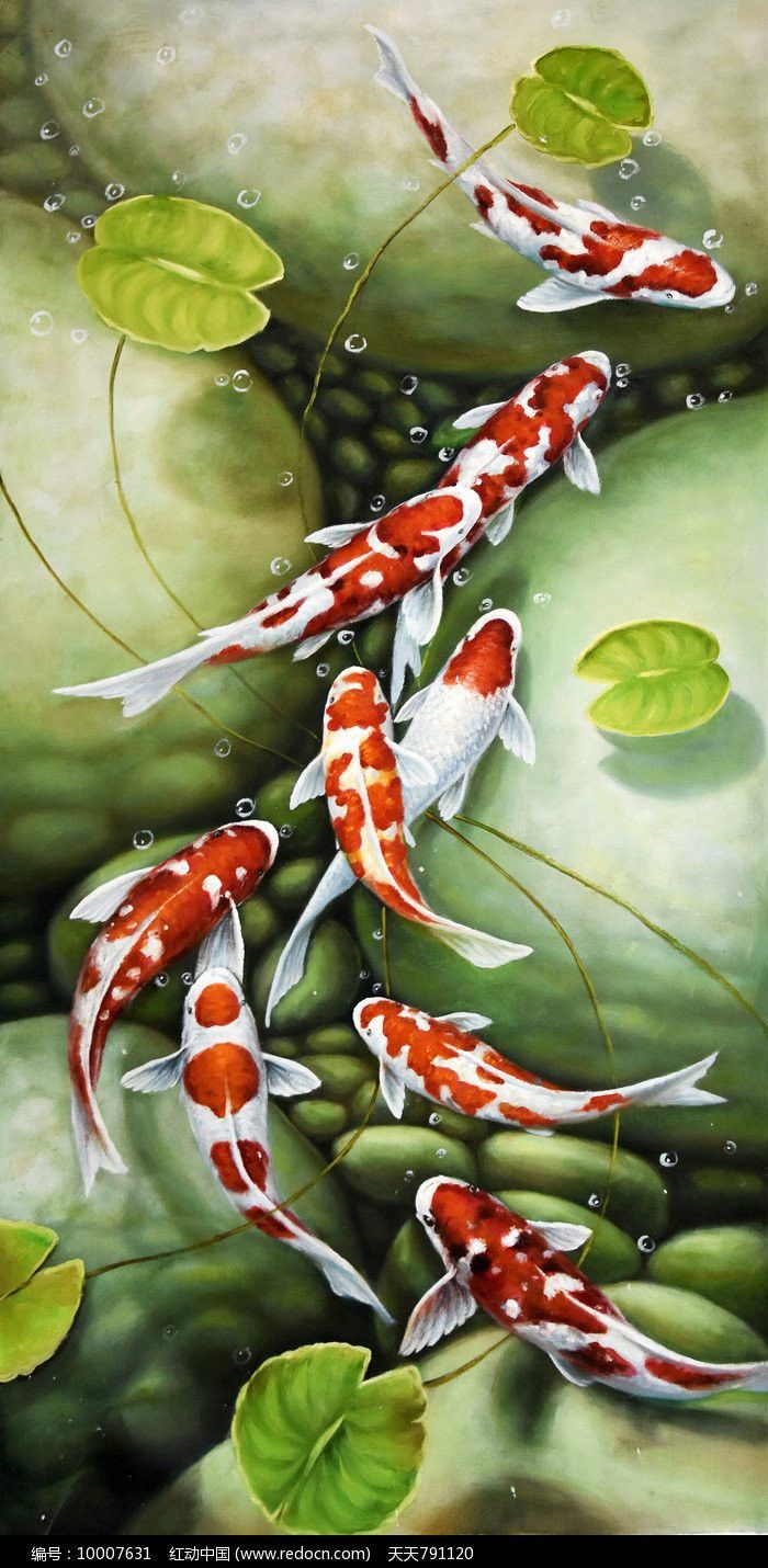 官方正版金龍魚壁紙有何特點？