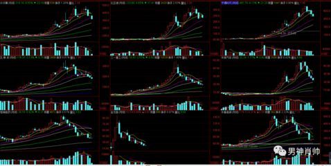金龍魚跌了多少（2024-12-09跌幅預(yù)測(cè)）