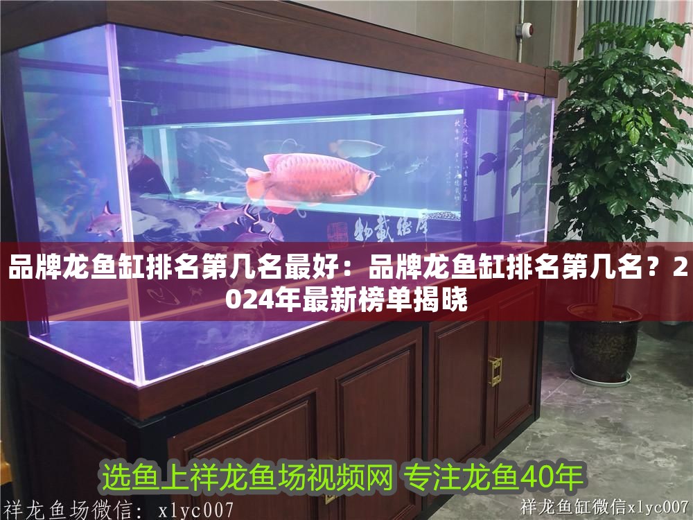 品牌龍魚缸排名第幾名最好：品牌龍魚缸排名第幾名？2024年最新榜單揭曉 品牌龍魚缸排名第幾名最好：品牌龍魚缸排名第幾名？2024年最新榜單揭曉 龍魚百科 第1張