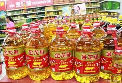 金龍魚為什么被認為是最好的？：為什么金龍魚被認為是最好的？