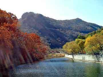 50cm龍魚價(jià)格：50元龍魚飼養(yǎng)難度大嗎？