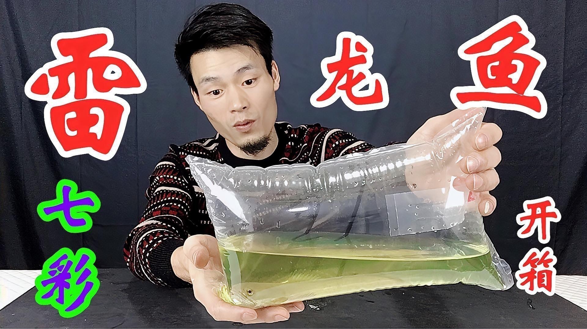 如何預防魚類的細菌感染？