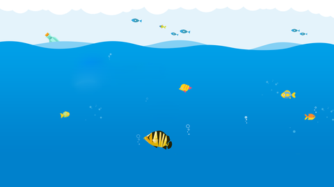 常見魟魚品種大全,一眼辨魟魚,更多干貨可到龍巔魚鄰百科學(xué)習(xí)！