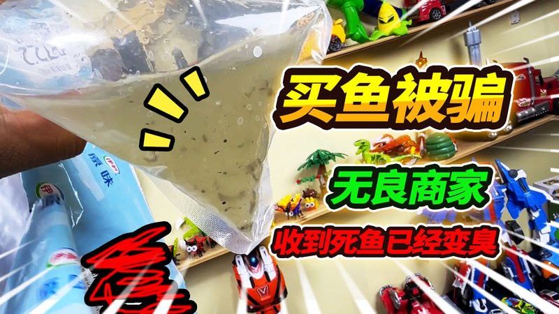 萌寵水世界小店的魚苗來源可靠嗎？