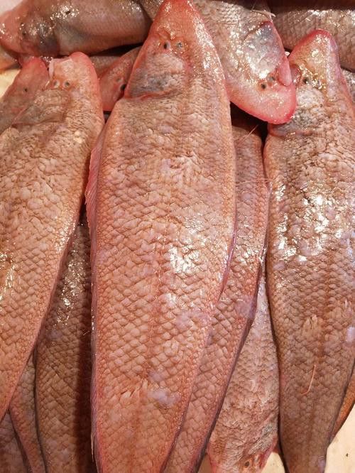 如何選擇新鮮的龍利魚？