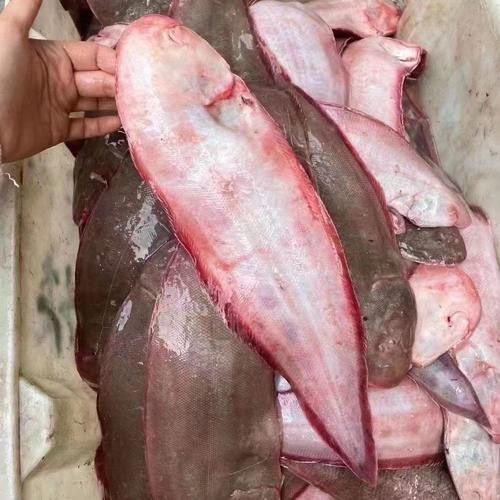 如何選擇新鮮的龍利魚？