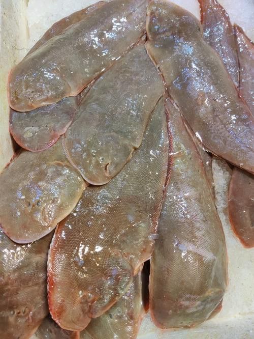 如何選擇新鮮的龍利魚？