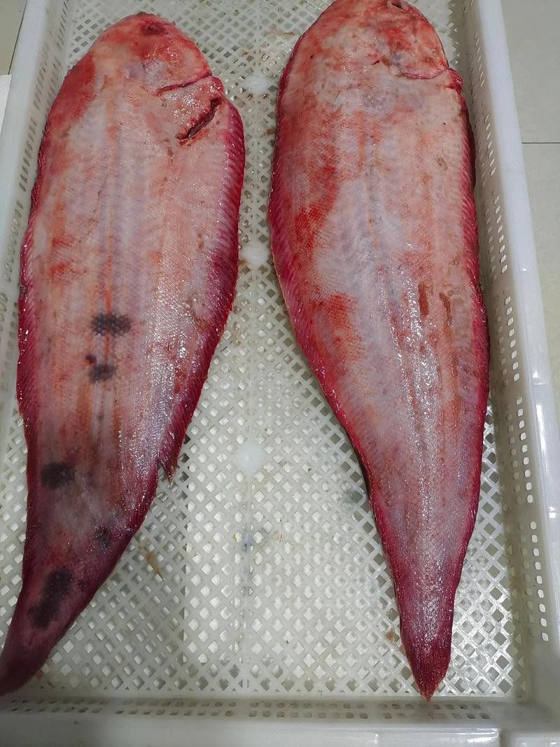 如何選擇新鮮的龍利魚？