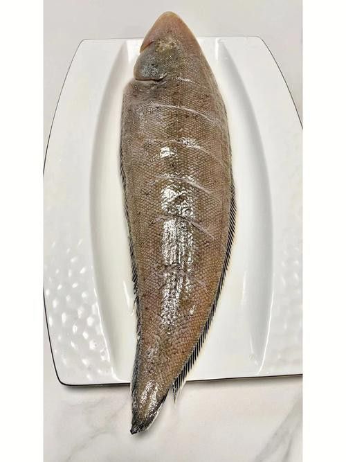 如何選擇新鮮的龍利魚？