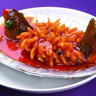 火龍魚可以吃魚食嗎