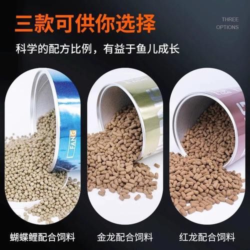 紅龍魚F3和F4哪個更值得購買？