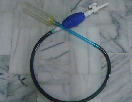 魚缸里的魚屎怎么處理最好（如何正確使用虹吸管清道夫魚的飼養(yǎng)技巧）