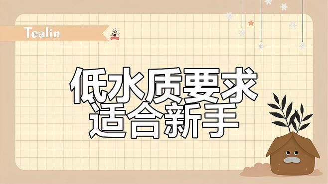 藍曼龍魚有幾種顏色
