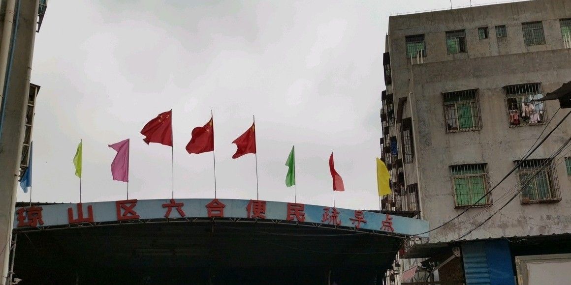 海口金龍魚(yú)批發(fā)市場(chǎng)在哪里有