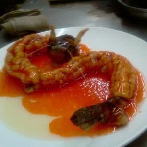 龍魚的做法有哪些竅門：根據搜索結果整理的幾種常見的龍魚做法及其竅門