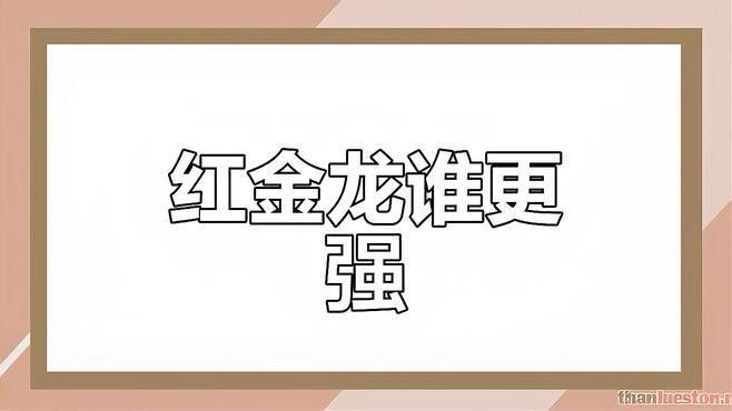 金龍魚的樣子圖片或者視頻