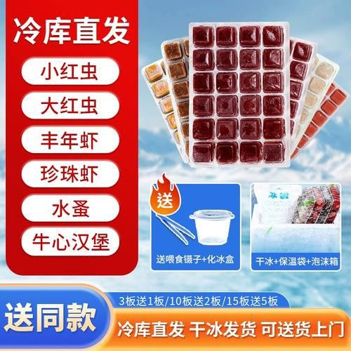恐龍魚幼魚吃什么食物好