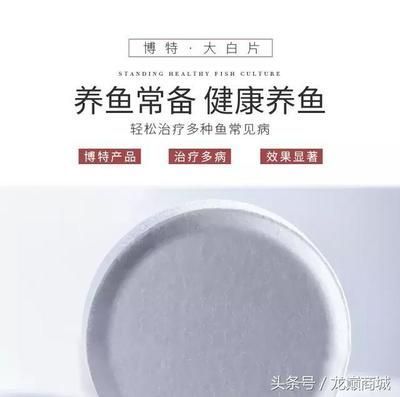大紅龍魚為什么這么貴：大白片使用前需要了解其使用方法和注意事項和注意事項