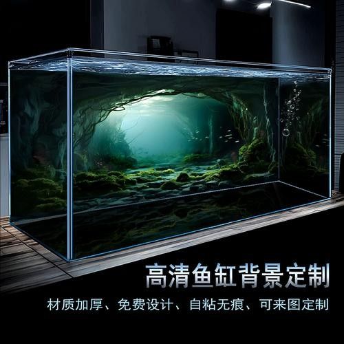 龍魚魚缸背景圖片大全集欣賞