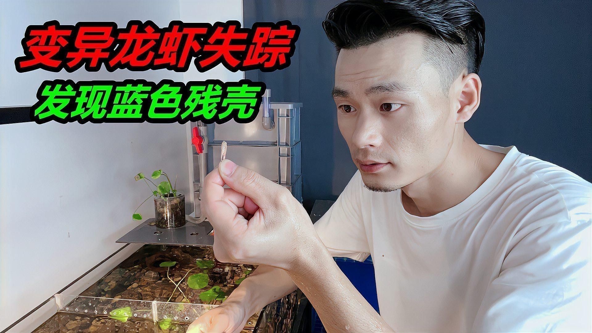 龍魚魚缸背景圖片大全集欣賞