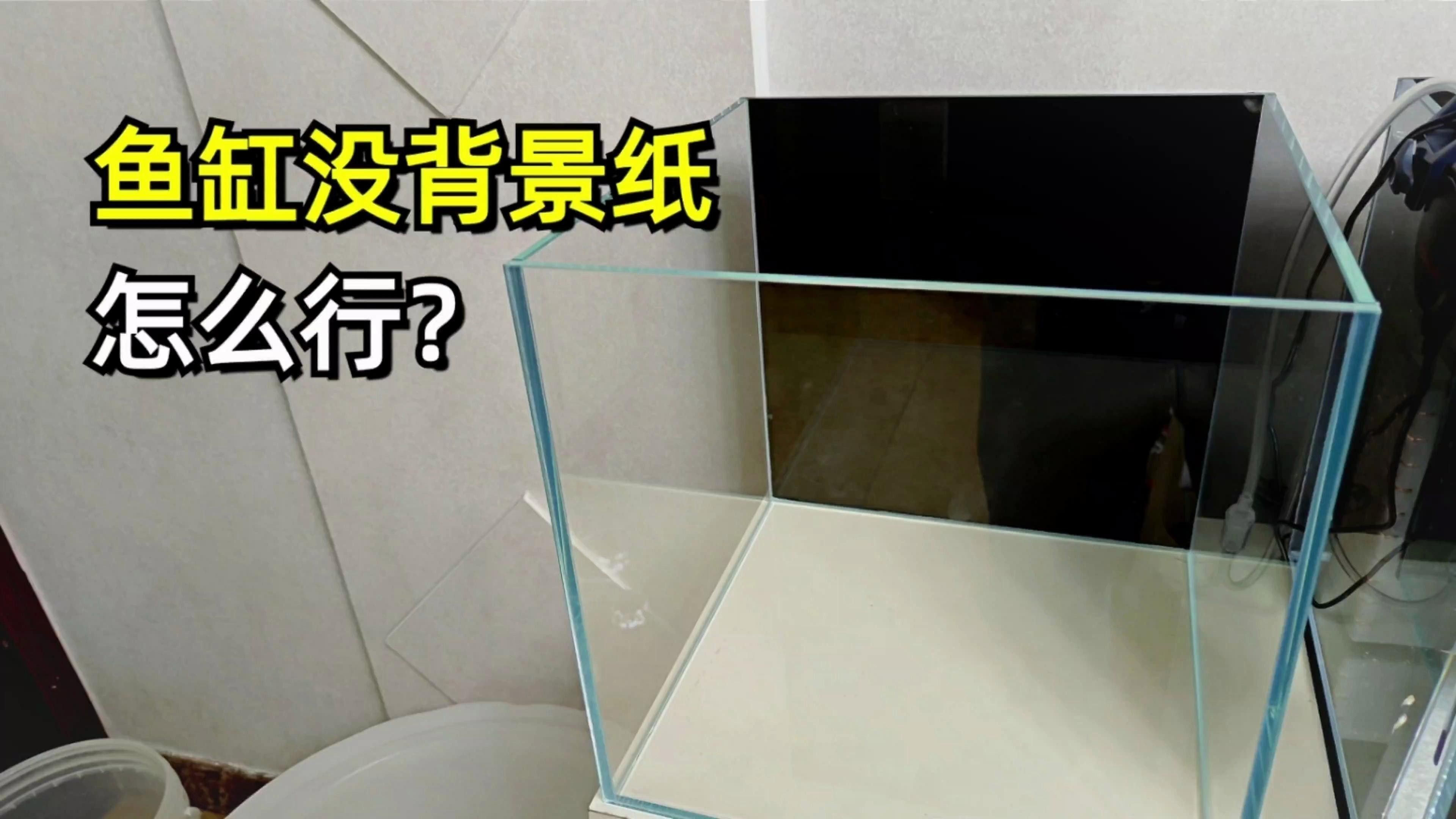 龍魚魚缸背景圖片大全集欣賞