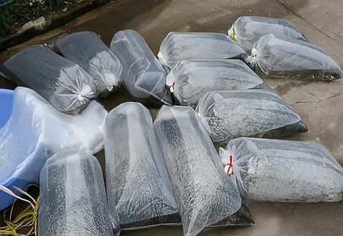 龍魚運(yùn)輸最長(zhǎng)時(shí)間