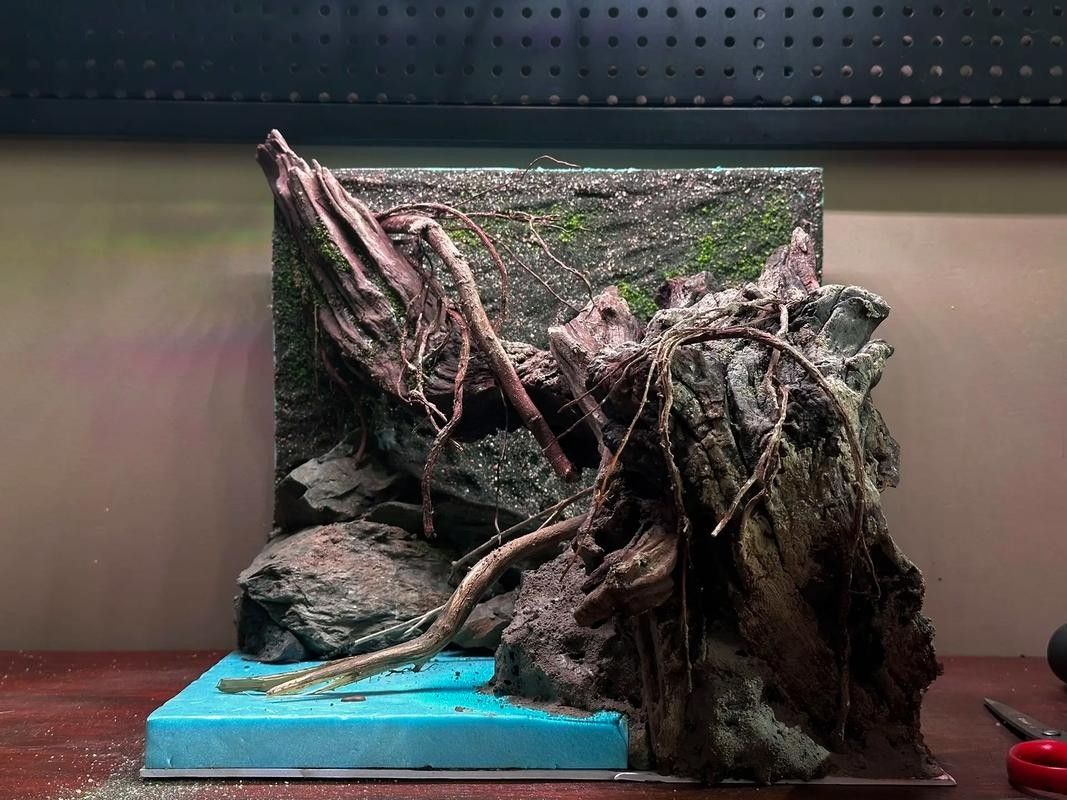 雷龍魚缸布置效果圖