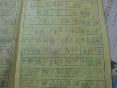 龍魚品相和介紹怎么寫（如何寫龍魚品相和介紹）