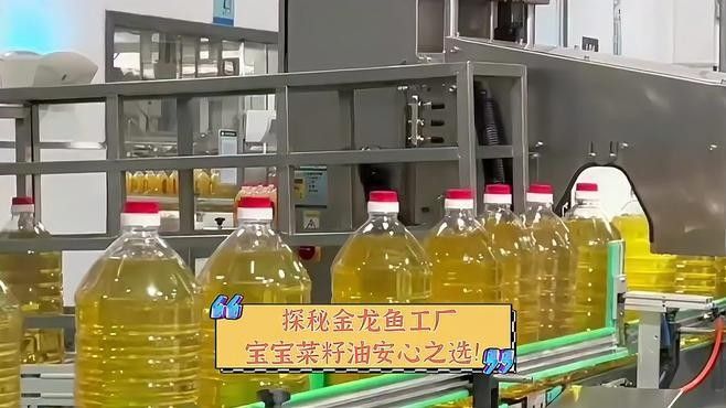黑龍江金龍魚菜廠家籽油