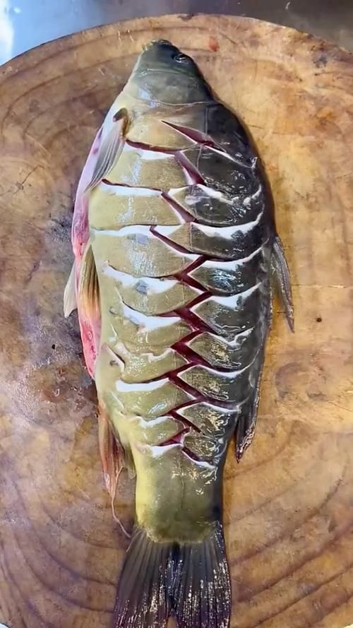 鯉魚三道鱗圖片