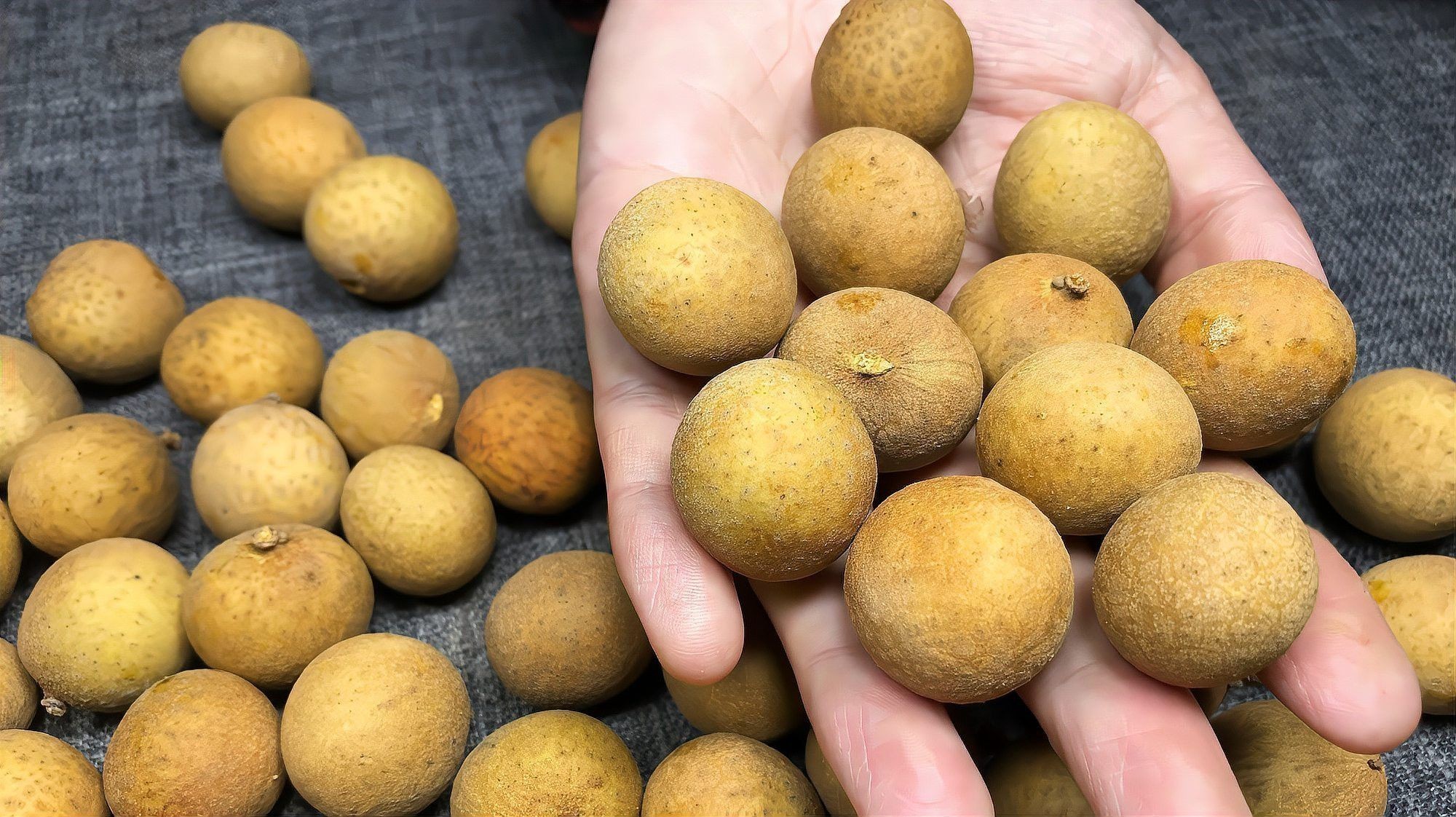 怎樣挑選到新鮮龍眼？