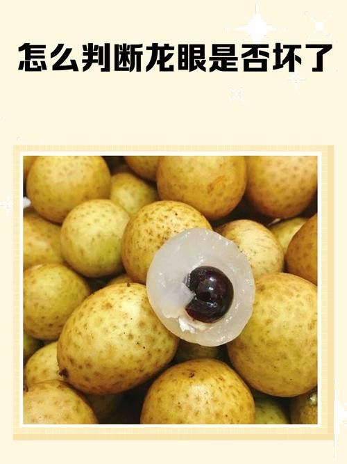 怎樣挑選到新鮮龍眼？