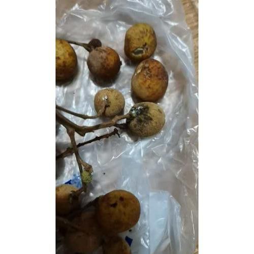 怎樣挑選到新鮮龍眼？