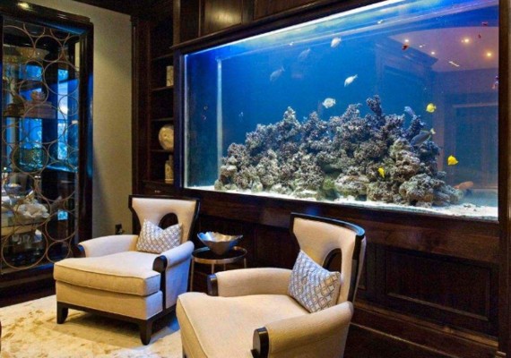 白玉龍魚和紅龍如何分辨（白玉龍魚和紅龍魚在外觀上有明顯的區別白玉龍魚與紅龍魚的區別）