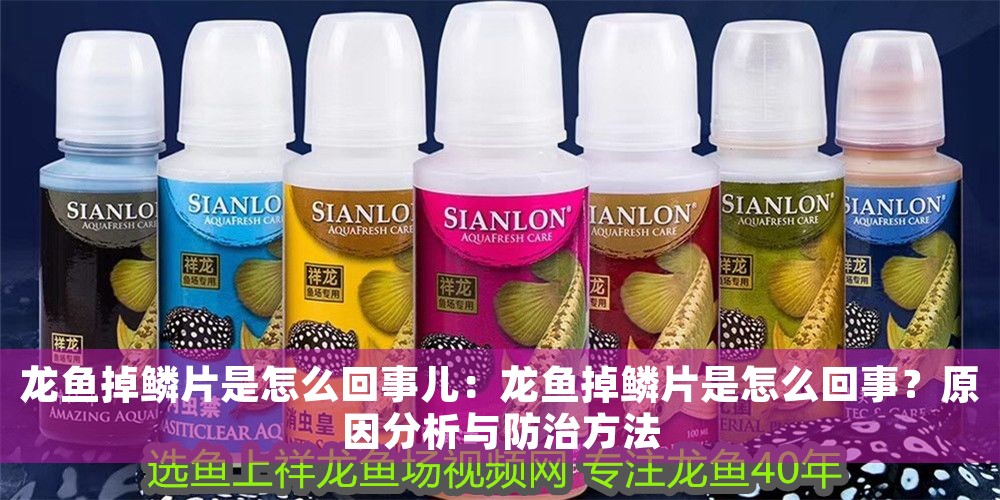 龍魚掉鱗片是怎么回事兒：龍魚掉鱗片是怎么回事？原因分析與防治方法