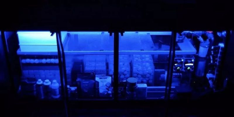 龍魚濾材哪個牌子好一點兒