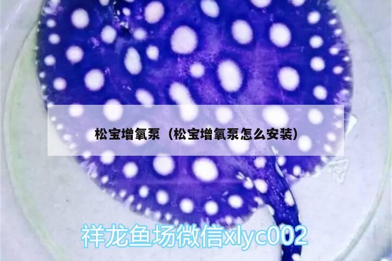 松寶增氧泵（松寶增氧泵怎么安裝）
